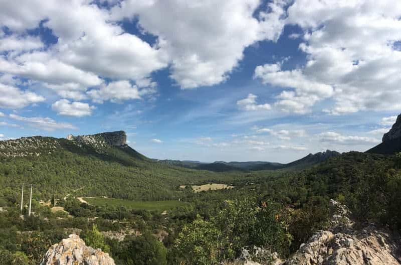 Pic Saint-Loup : Visite d'une jounée sur le thème du vin et de l'olive
