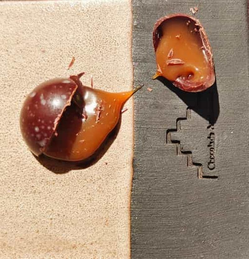 Dégustation privée de chocolat à Gand