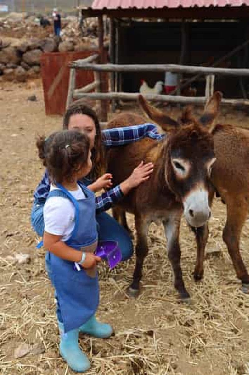 Billet Agüimes : Soyez un agriculteur pour la journée à La Jaira de Ana