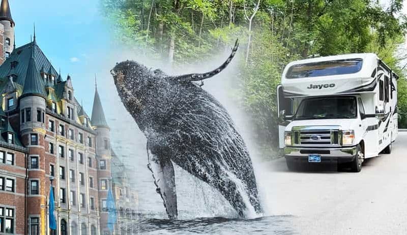 Explorez le Québec : Circuit de 5 jours en autocaravane et observation des baleines