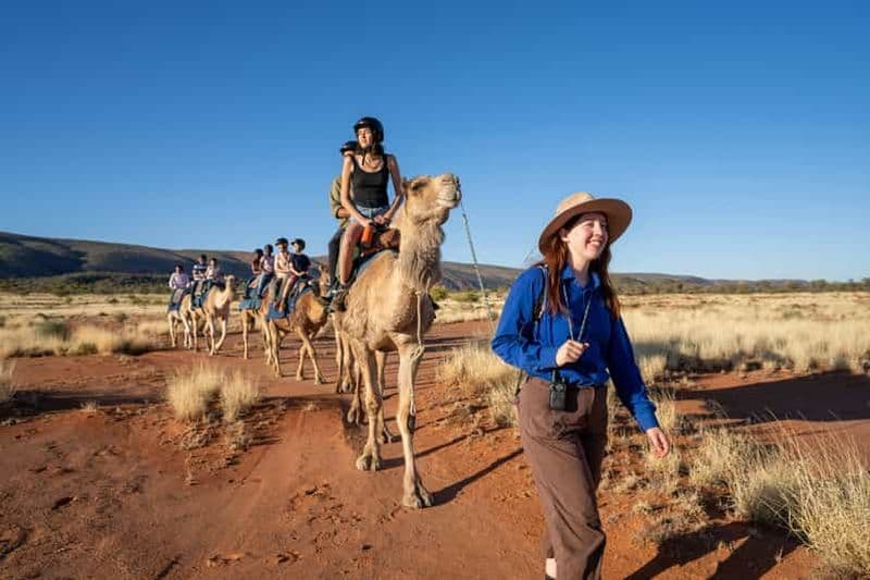 Billet Alice Springs : Promenade guidée à dos de chameau dans l'Outback