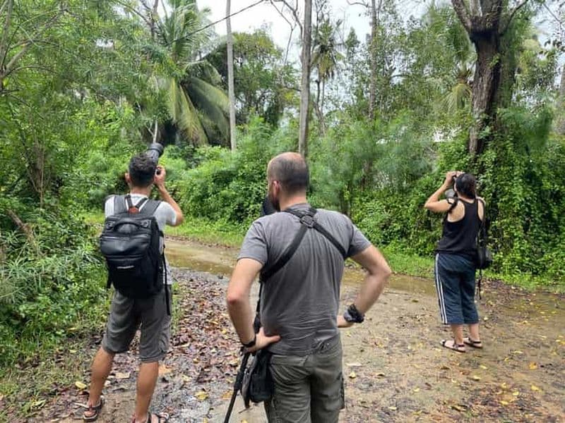 Billet Tissamaharama : excursion d'observation des oiseaux