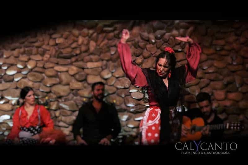 Billet Malaga : billet d'entrée pour le spectacle de flamenco El Gallo Ronco