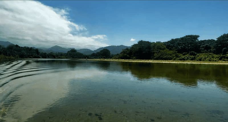 Santa Marta : excursion en paddleboard sur la rivière Don Diego et visite d'une chocolaterie