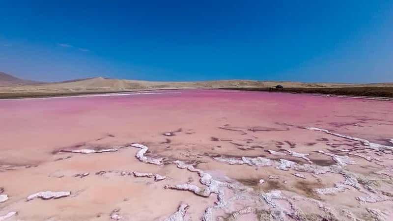 Billet Depuis Paracas : visite privée de la Laguna Rosada, Playa Roja et La Catedral