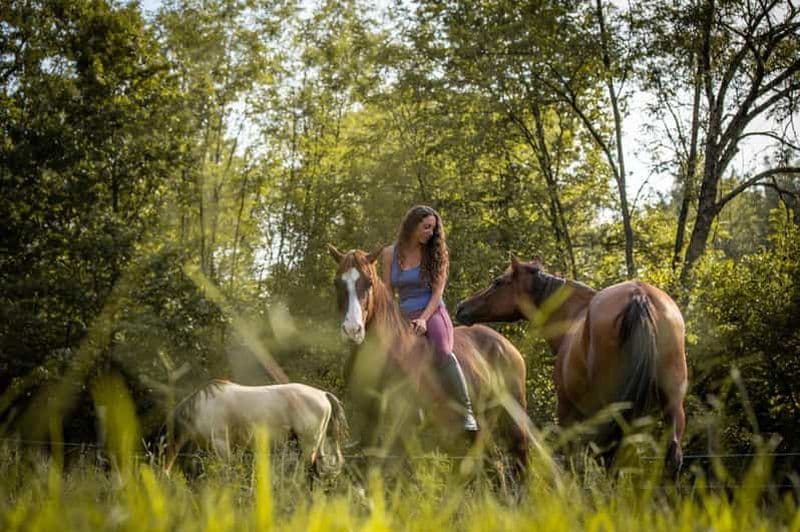 Borgomanero : Promenade à cheval guidée à travers les vignobles et les bois