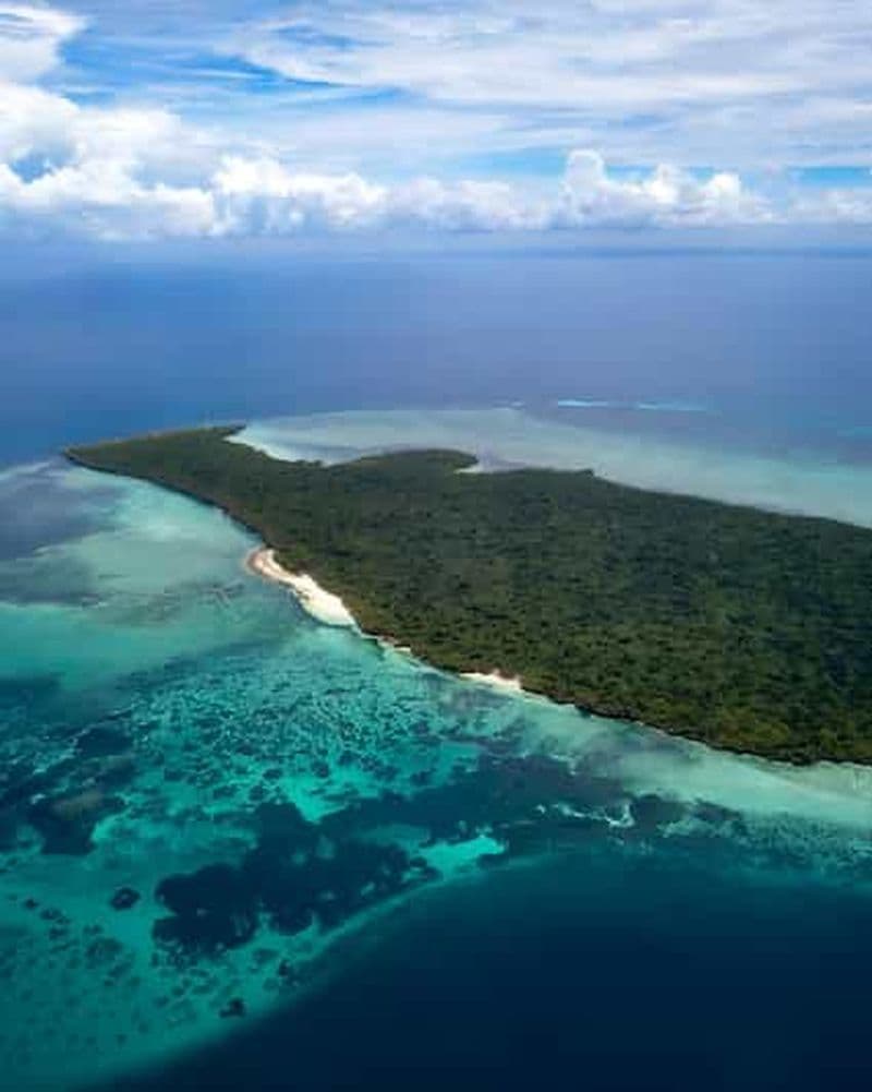Billet Kizimkazi : Excursion sur l'île de Pungume avec masque et tuba et sur les bancs de sable
