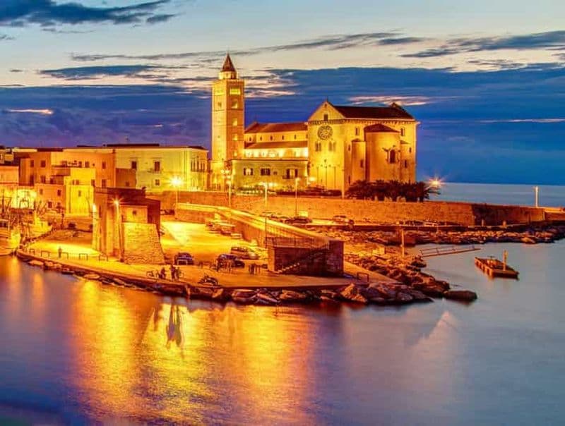 Billet TRANI ET CASTEL DEL MONTE : visites guidées et transferts depuis Matera