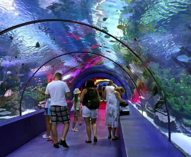 Billet Depuis Antalya/Side/Alanya : Service de transfert de l'aquarium d'Antalya