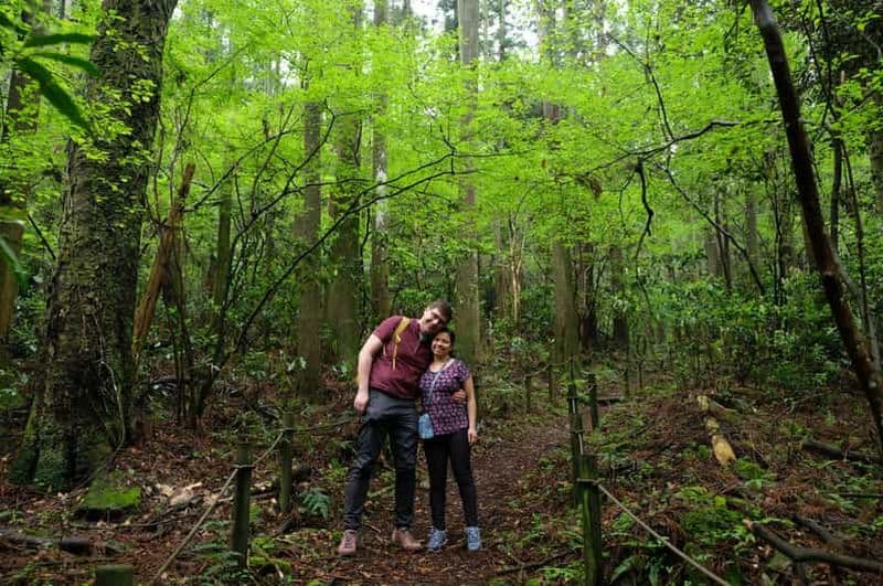 Billet Hakone Hachiri : Visite d'une demi-journée de randonnée sur l'ancienne route du Tokaido