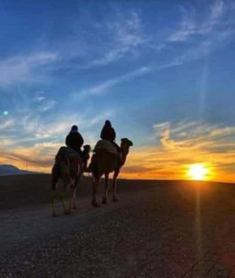 Billet Marrakech : Balade à dos de chameau et quad avec coucher de soleil, dîner et spectacle