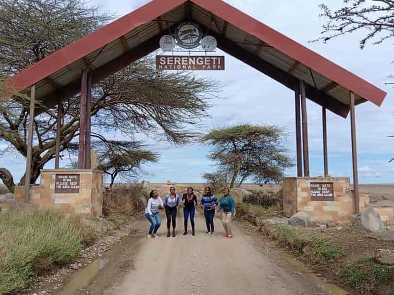 Billet Arusha : Safari en camping de plusieurs jours au Serengeti et au Ngorongoro