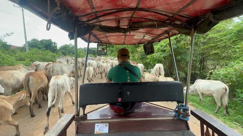 Billet Visite partagée de Battambang, de ses environs et de ses lieux d'intérêt