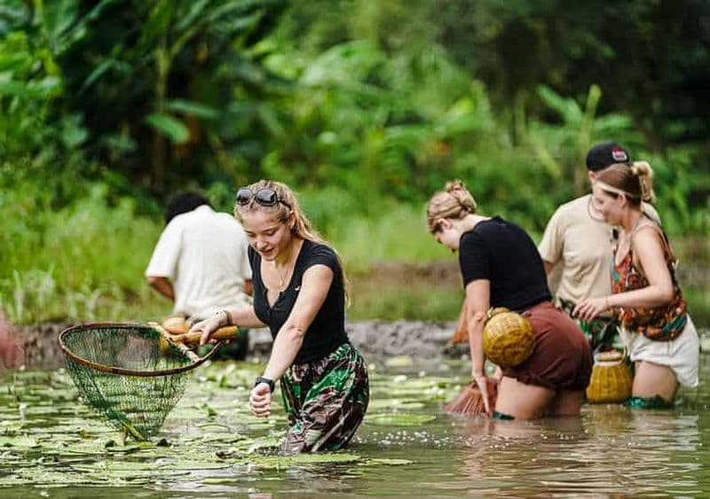 Ninh Binh : Plantation de riz et pêche en panier