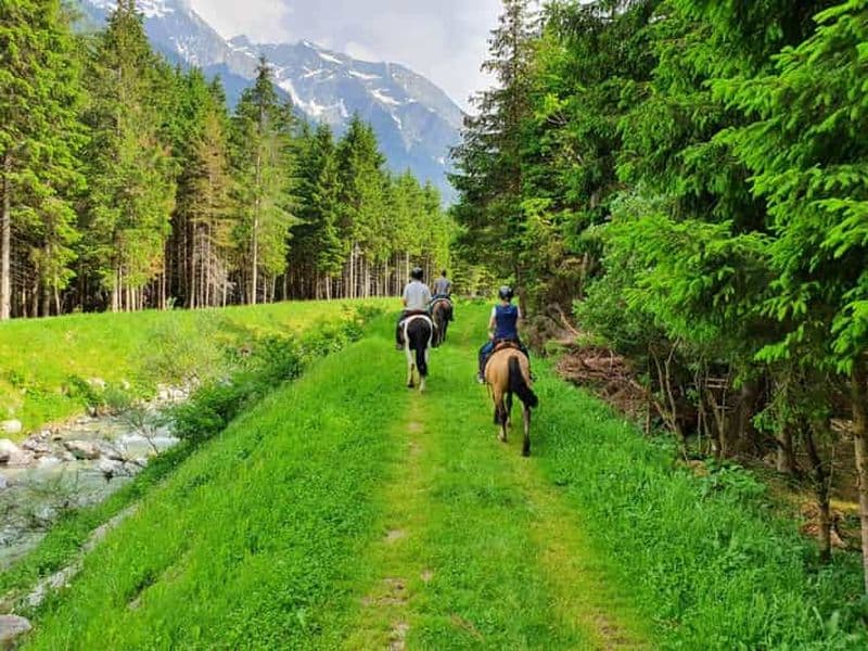 Pontedilegno-Temù : Promenade à cheval dans le Val d'Avio avec un guide