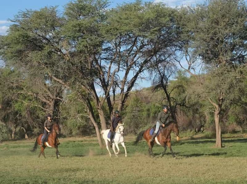 Billet Windhoek : safari à cheval au coucher du soleil, visite d'une demi-journée
