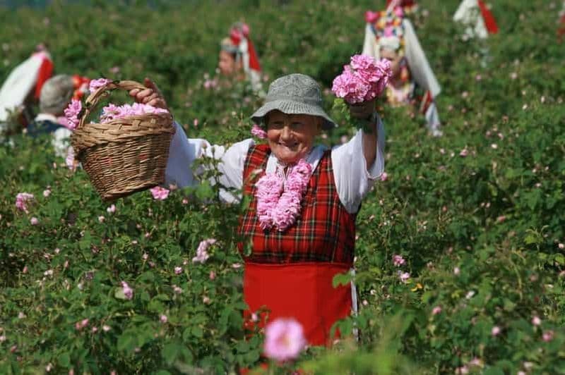 Billet Au départ de Sofia : La Vallée des Roses et Koprivshtitsa (12 heures)