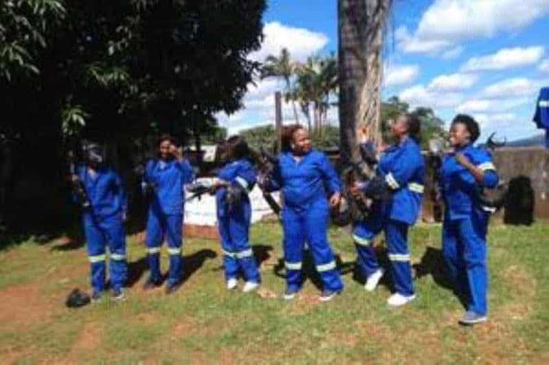 Hazyview : Tir à la cible au paintball