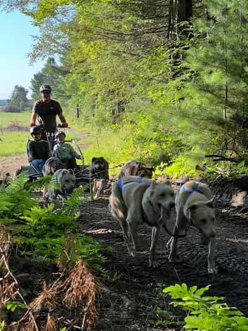 St-Liguori : expérience de cani-karting et de traîneau à chiens