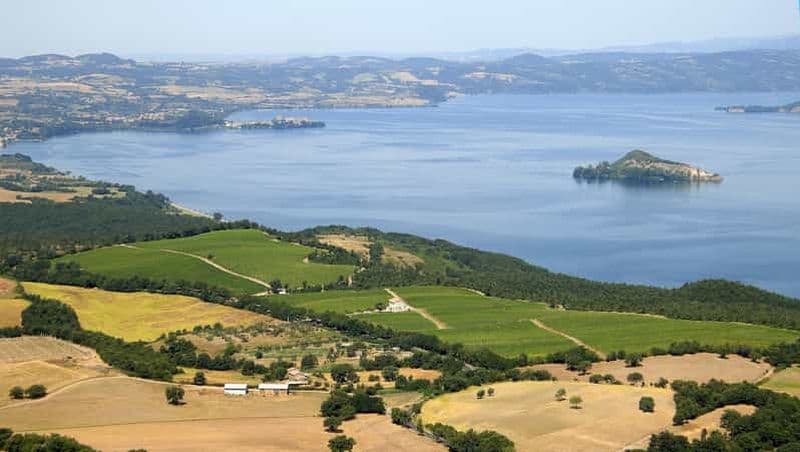Billet Lac de Bolsena : Visite d'une cave privée et dégustation de vins