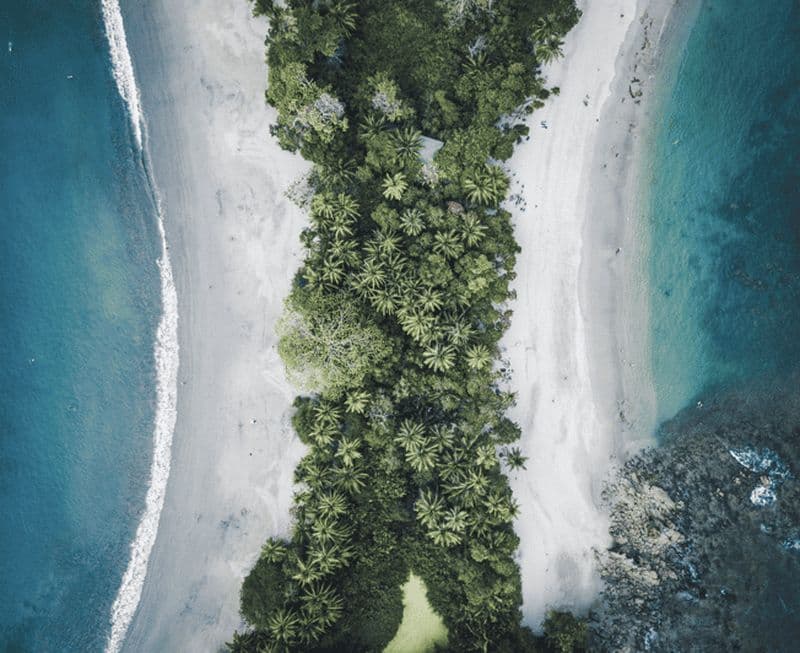 Billet Depuis San José : Journée complète au parc national Manuel Antonio