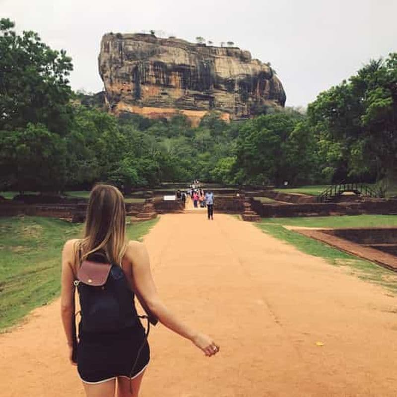 Depuis Colombo : Excursion et safari d'une journée à Sigiriya et Dambulla