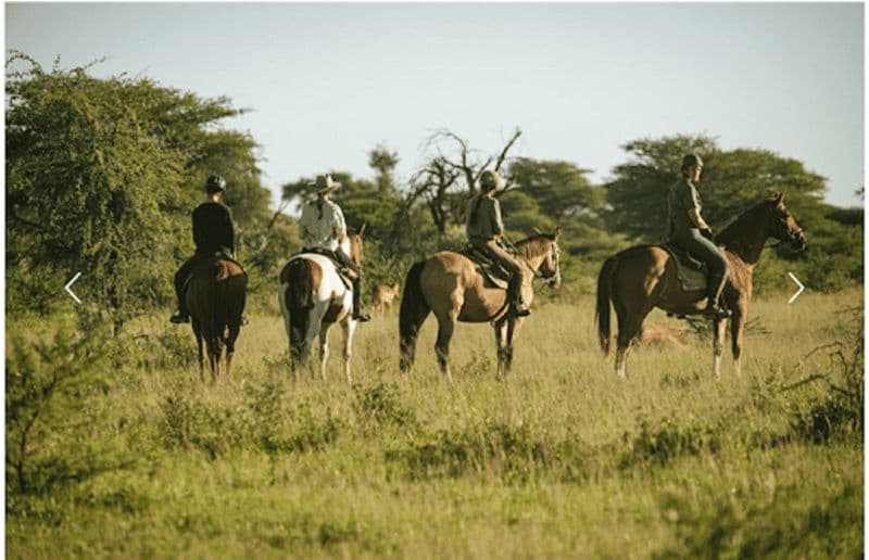 Billet Namibie : safari à cheval dans la réserve de Kambaku