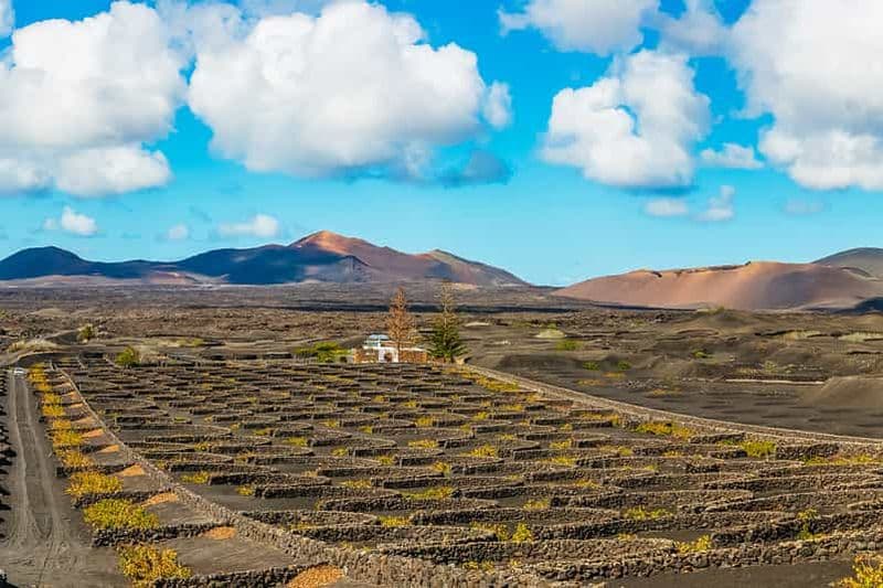 Billet Arrecife : Timanfaya et lagune verte pour les croisiéristes