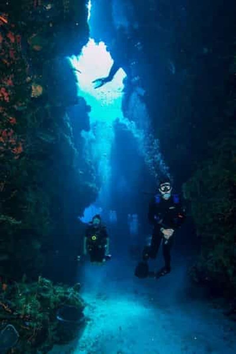 Billet Cancun : Réserve de biosphère de Sian Ka'an