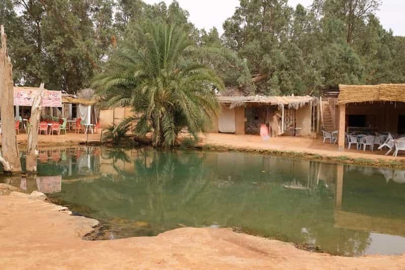 Billet Au départ de Djerba et Zarzis : Excursion à l'oasis de Ksar Ghilane avec déjeuner