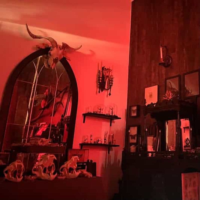 Billet Brooklyn : visite guidée de la chambre hantée de Bombo et divination