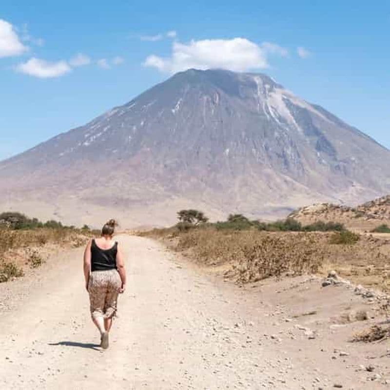 Billet Excursion d'une journée au lac Natron