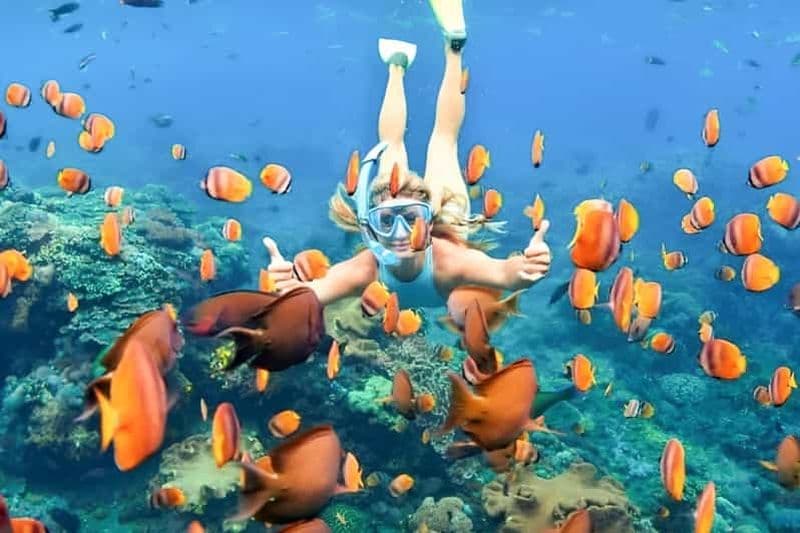 Billet Bali : Excursion de plongée en apnée sur la plage du Lagon Bleu avec déjeuner