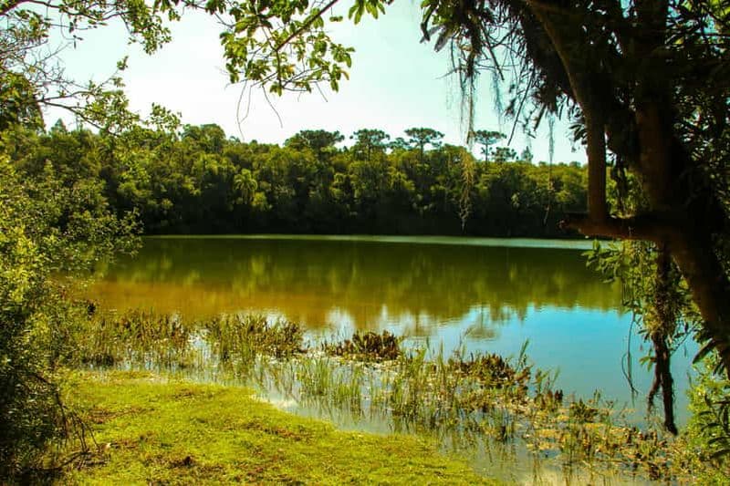 Billet Vila Velha + Colônia Witmarsum + Lavandário : journée complète / excursion enchanteresse