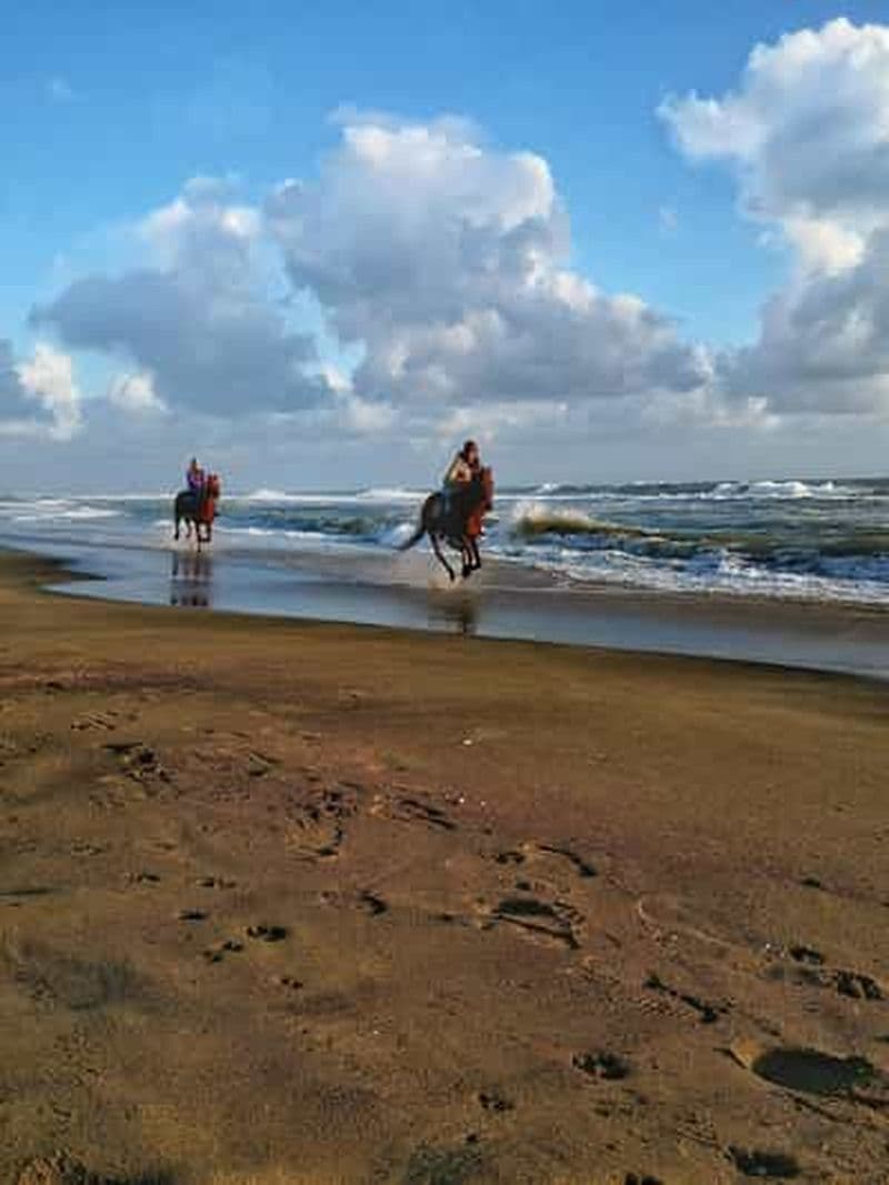 Rome à cheval : l'ancienne Ostie et la plage avec apéritif