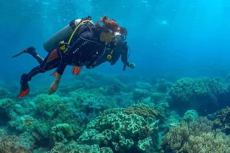 Billet Découvrez la plongée : PADI Intro Dive à Dauin