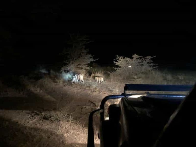 Billet Dar es Salaam : circuit de 4 jours à Mikumi et Udzungwa avec safari nocturne