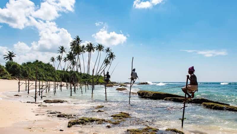 Créature de Mirissa : Séjour à la plage