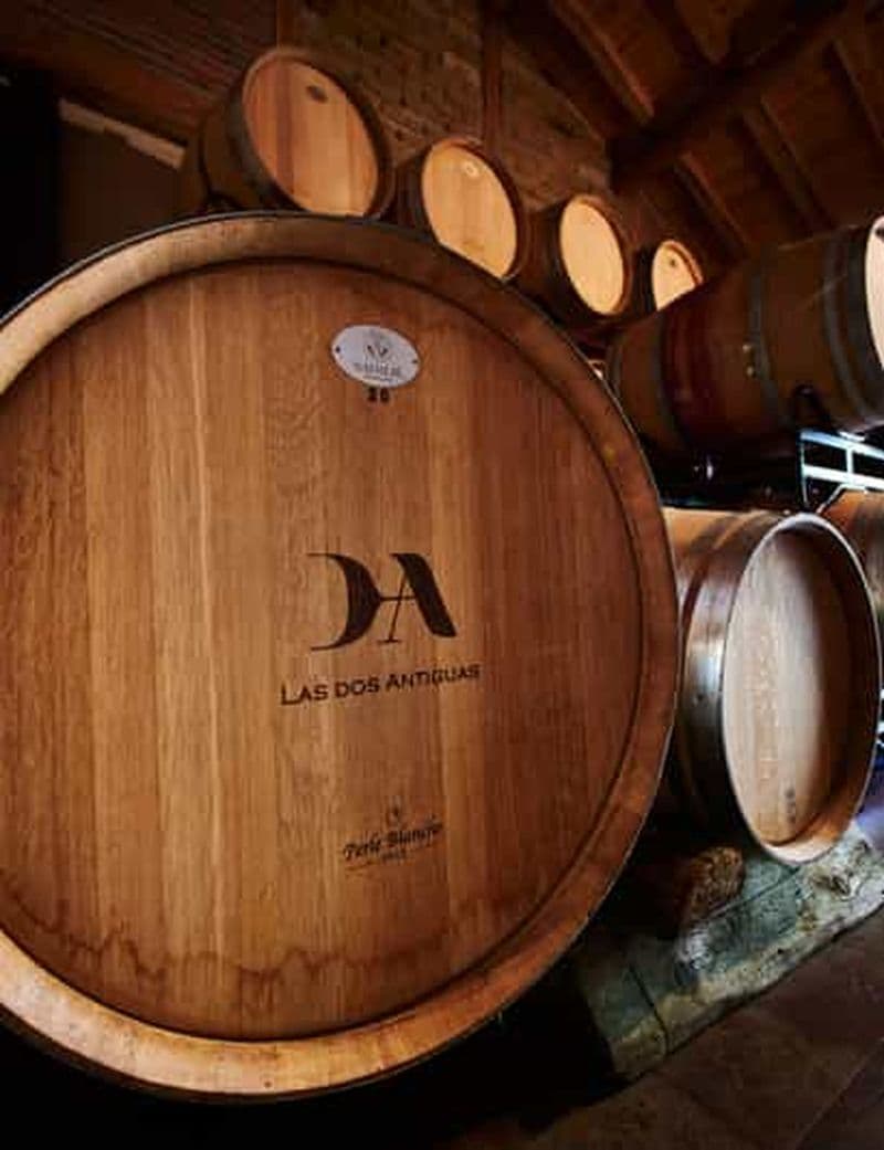 Ségovie : Visite d'un vignoble avec dégustation de vin