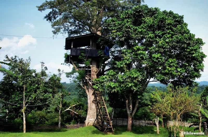 De Pointe-Noire: Descente en bouée et traditions locales