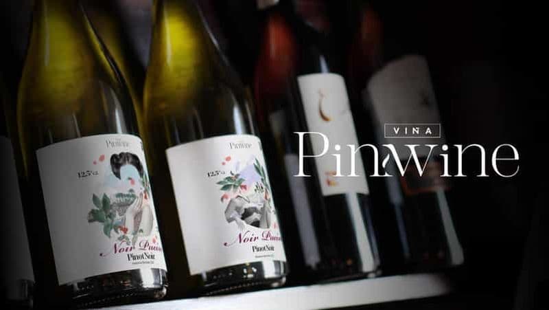Visite des vignobles avec dégustation dans la première cave de Pucón