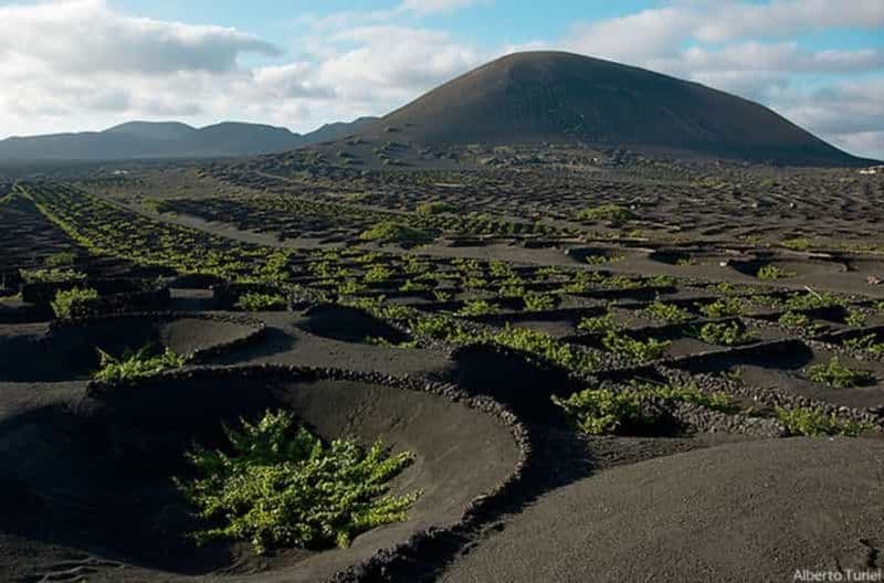 Lanzarote : visite en bus d'une journée avec vues pittoresques