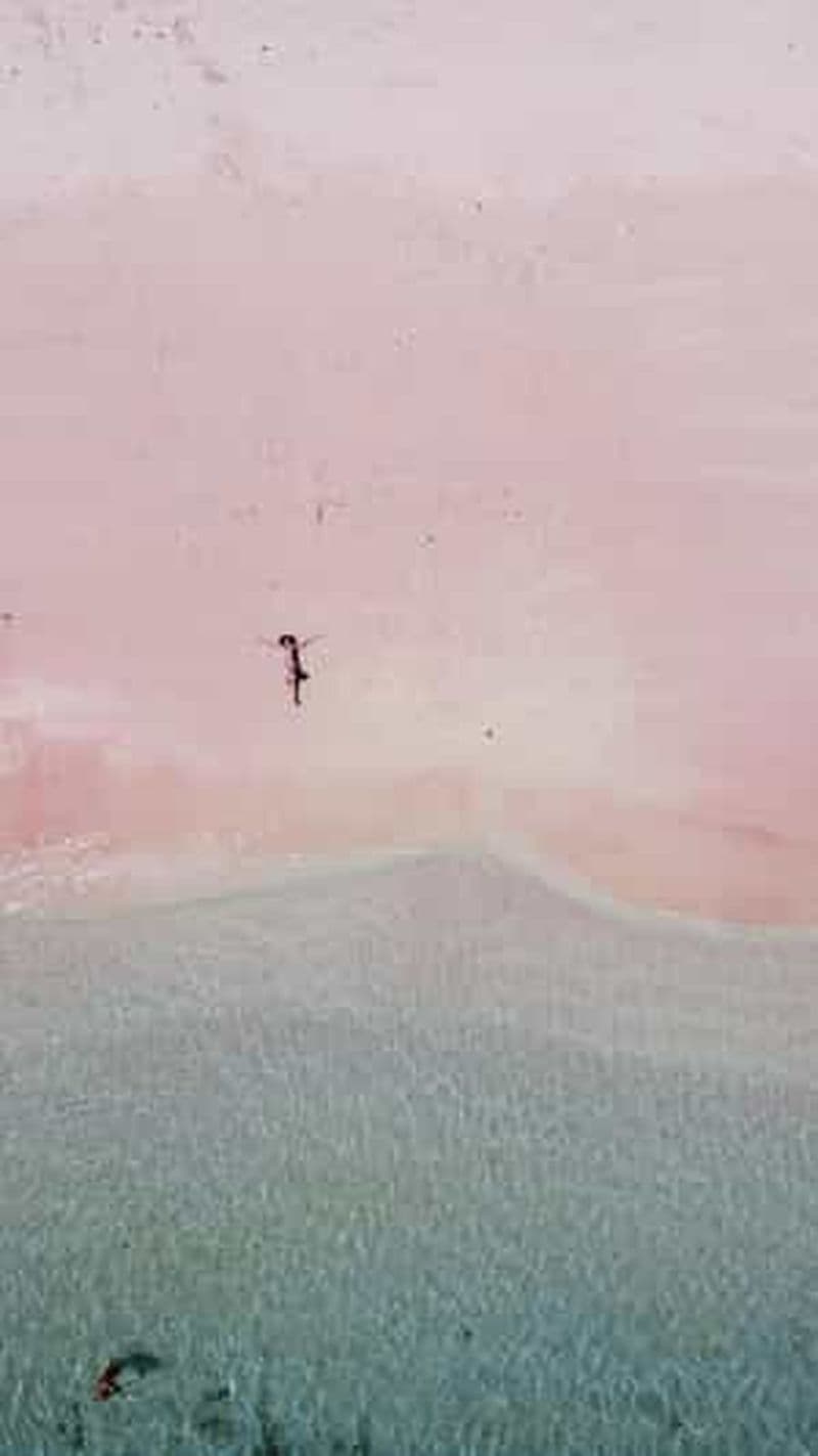 Excursion en bateau sur la plage rose de Lombok : plongée avec tuba et détente