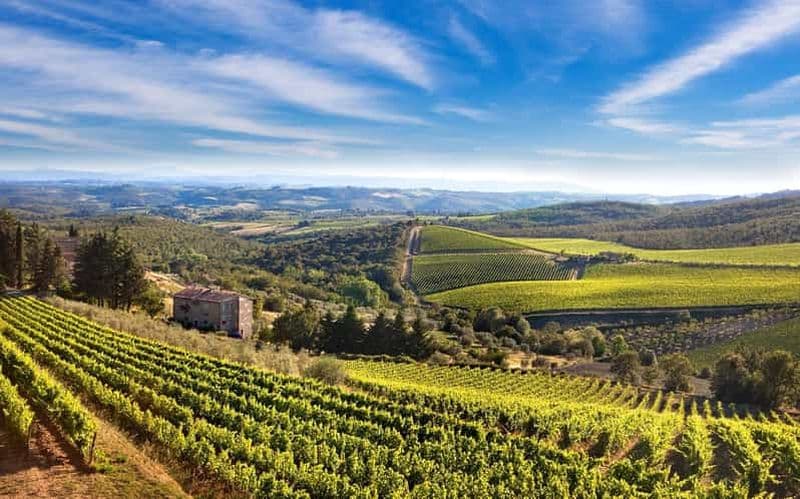 Billet Bella Toscana : San Gimignano et deux vignobles depuis Livourne