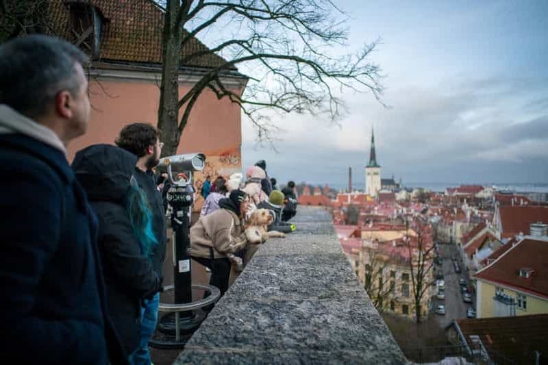 Tallinn : visite à pied de la vieille ville d'une heure et demie