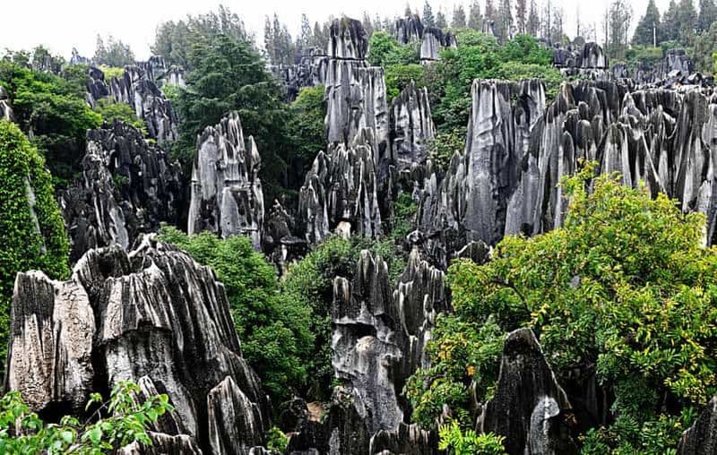 Billet Kunming : Excursion d'une journée à la forêt de pierre et à la grotte de Jiuxiang
