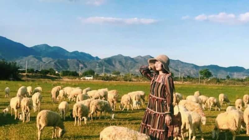 Nha Trang Ninh Thuan : Côte de corail, vignobles, Suoi Tien