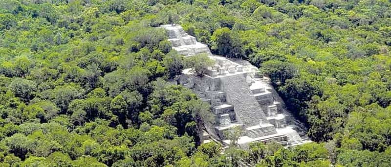 Billet Depuis Campeche : excursion guidée d'une journée dans la nature et l'histoire de Calakmul