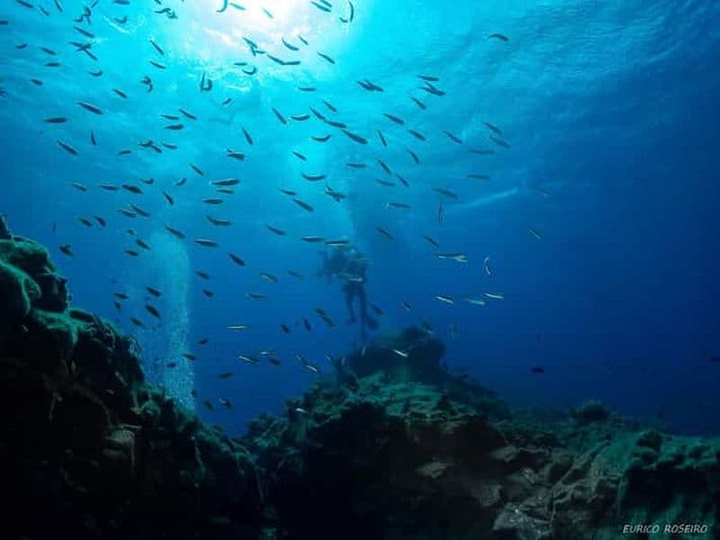 Billet Double plongée sur l'île de Santa Maria - Açores