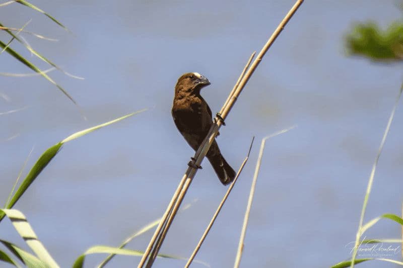 Billet Richards Bay : Isimangaliso Boat Cruise St Lucia Estuary Tour